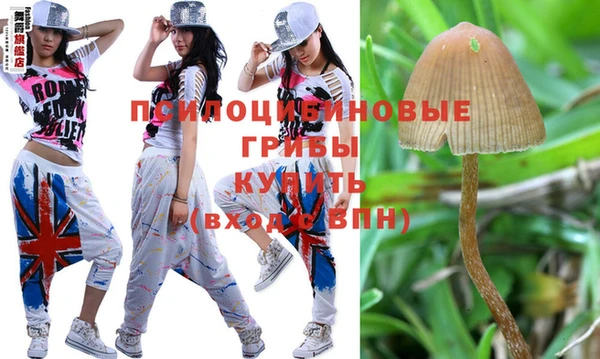 прущие крисы Абаза