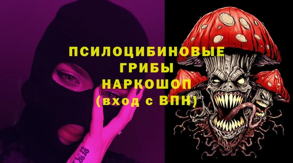 прущие крисы Абаза